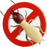 Fixflow best anti termite treatment and pest control service in Delhi NCR