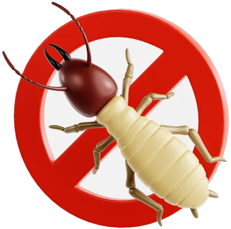 Fixflow best anti termite treatment and pest control service in Delhi NCR
