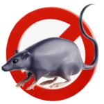 ixflow advanced mouse control and pest elimination treatment for homes in Delhi NCR