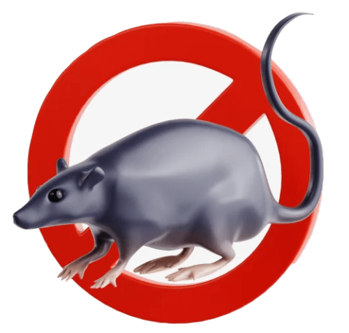 Fixflow advanced mouse control and pest elimination treatment for homes in Delhi NCR