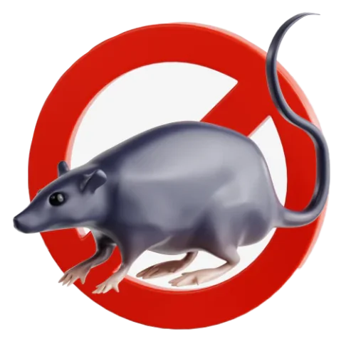 Fixflow advanced mouse control and pest elimination treatment for homes in Delhi NCR