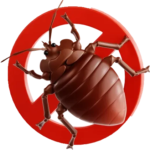 Fix flow advanced bed bug pest control service for homes and offices in Delhi NCR