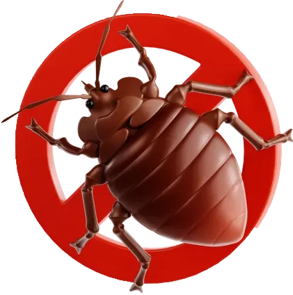 Fix flow advanced bed bug pest control service for homes and offices in Delhi NCR