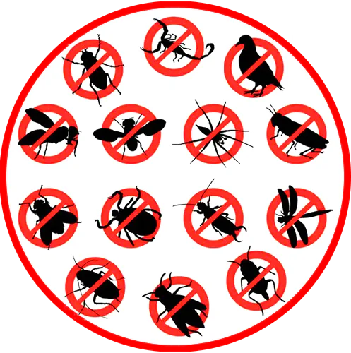 General pest control services for cockrocaches, ants spiders and other household pests