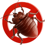 Fix flow advanced bed bug pest control service for homes and offices in Delhi NCR
