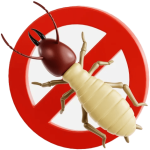 Fixflow best anti termite treatment and pest control service in Delhi NCR