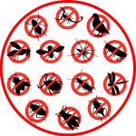 General pest control services for cockrocaches, ants spiders and other household pests