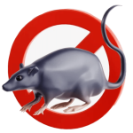 Fixflow advanced mouse control and pest elimination treatment for homes in Delhi NCR